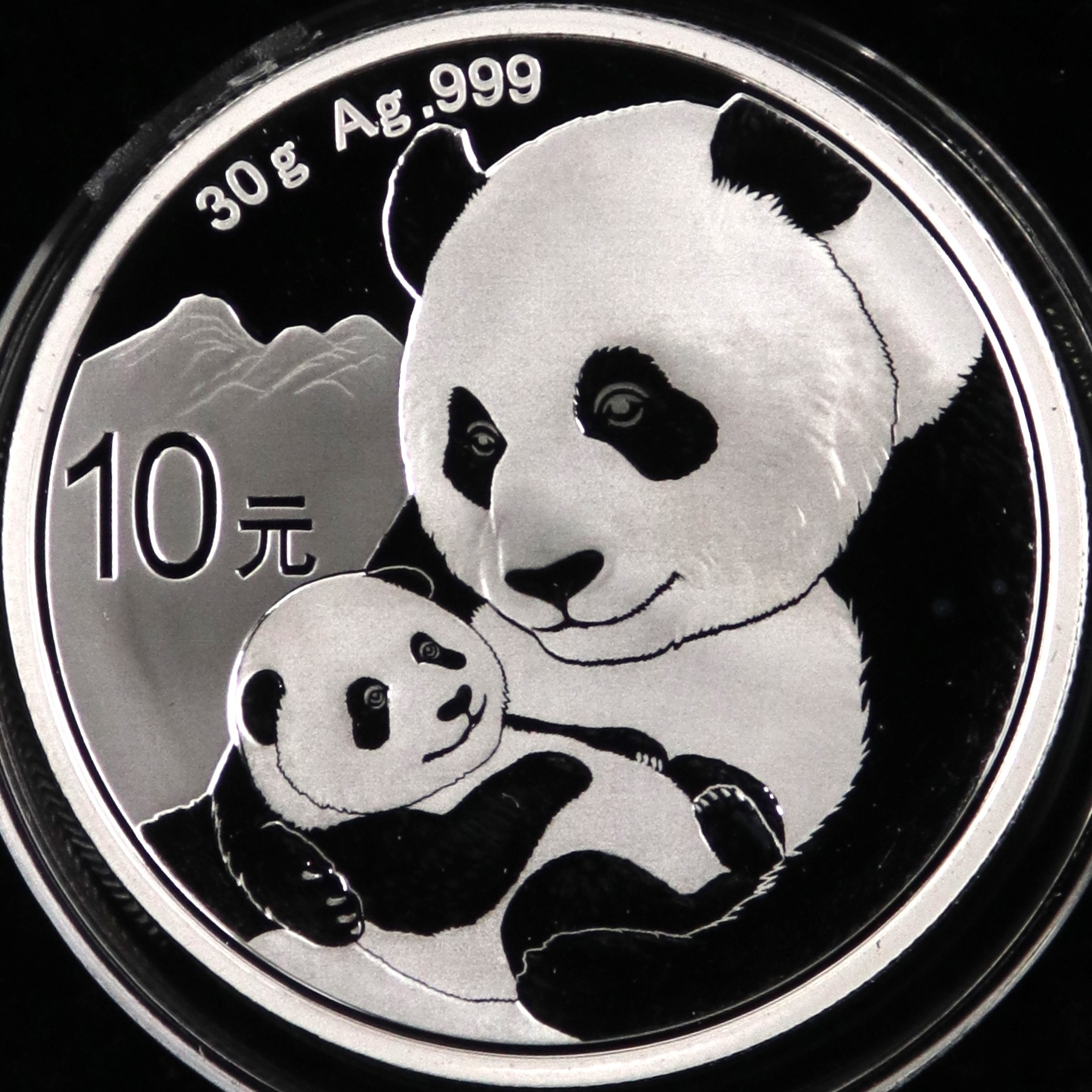 2019年30克熊猫银币