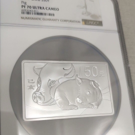 2019年150克方形生肖猪银币