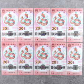 2025年贺岁蛇年纪念钞