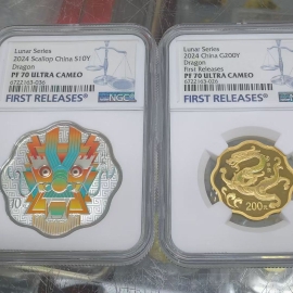 2024年梅花形生肖龙金银币