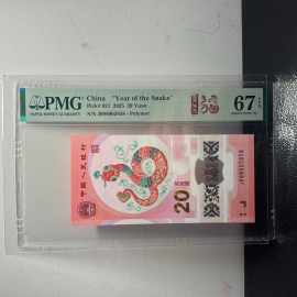 2025年贺岁蛇年纪念钞