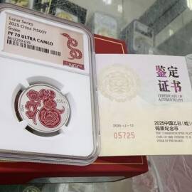 2025年15克生肖蛇铂币