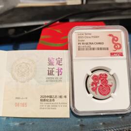 2025年15克生肖蛇铂币